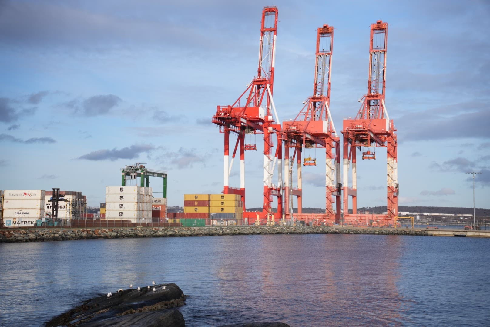 Container cranes on the Halifax waterfront